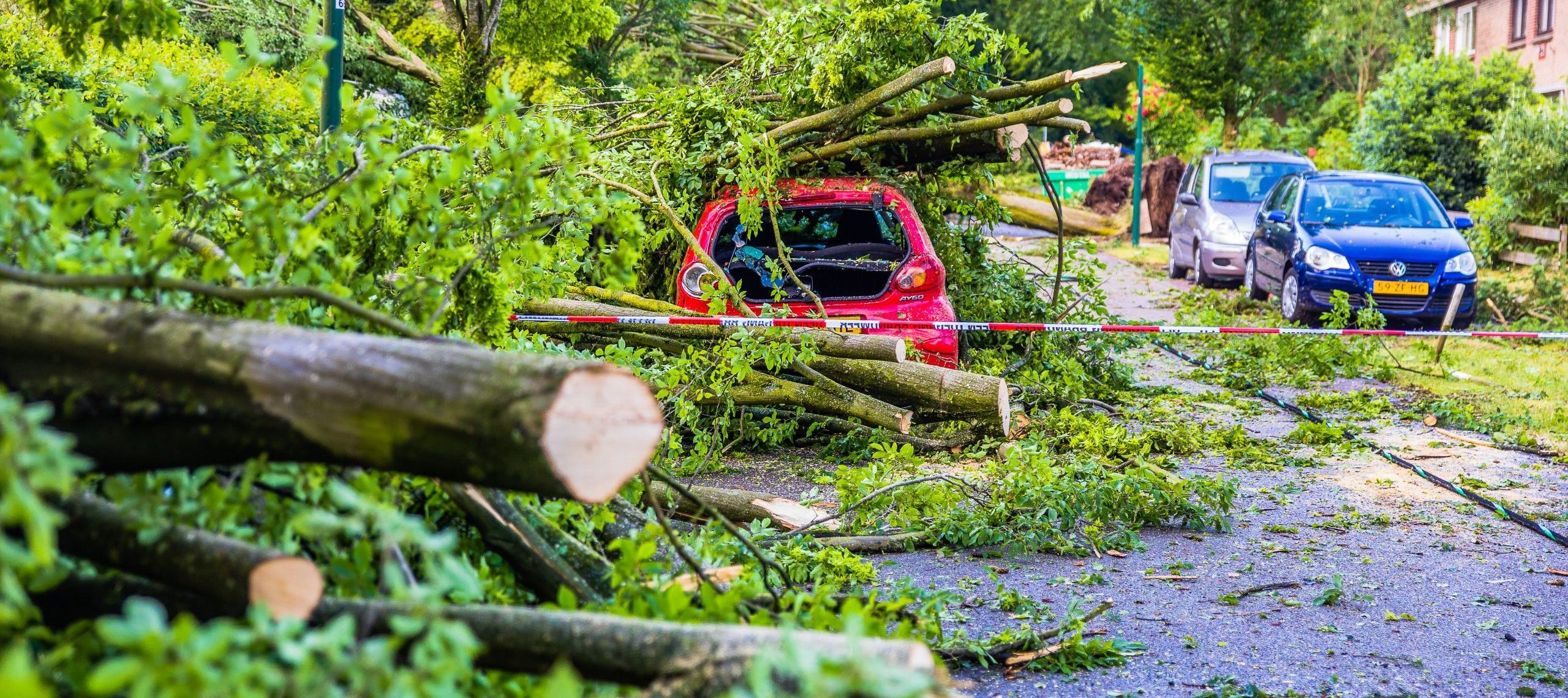 "We gaan het bos niet uit, voor we het slachtoffer 6
